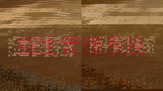 招生管理系统
