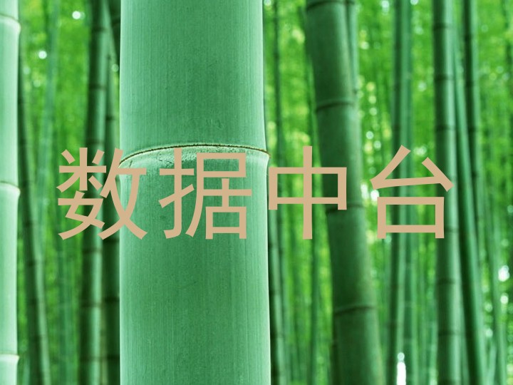 数据中台