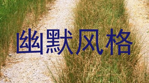 幽默风格