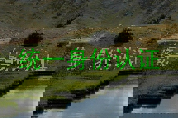 统一身份认证