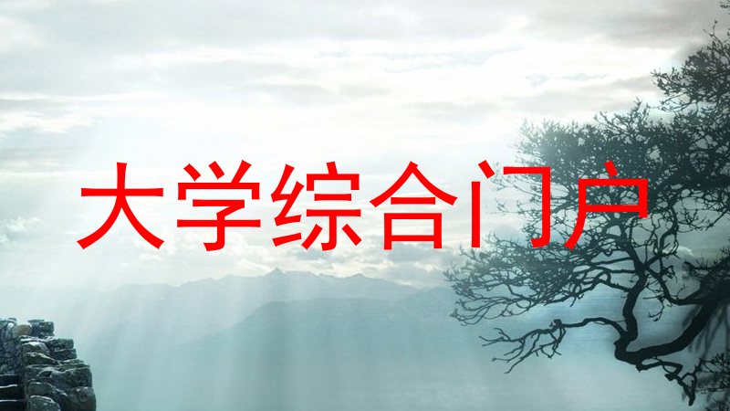 大学综合门户