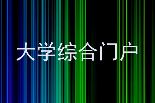 大学综合门户