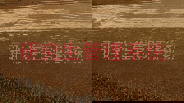 研究生管理系统