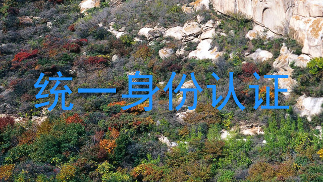 统一身份认证