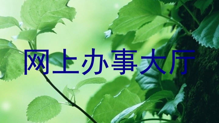 网上办事大厅