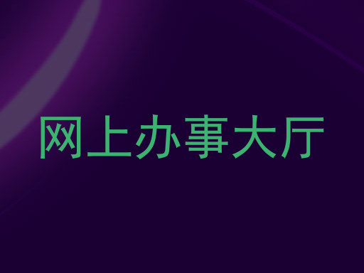 网上办事大厅