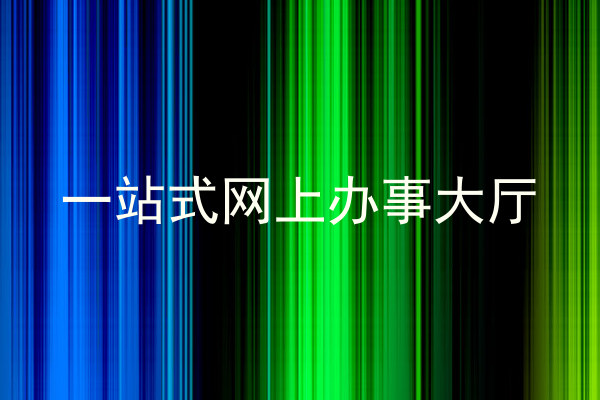 一站式网上办事大厅