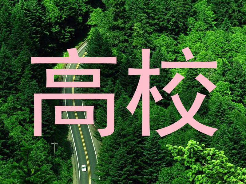 高校