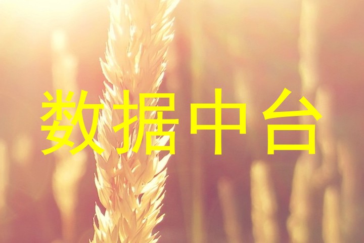 数据中台