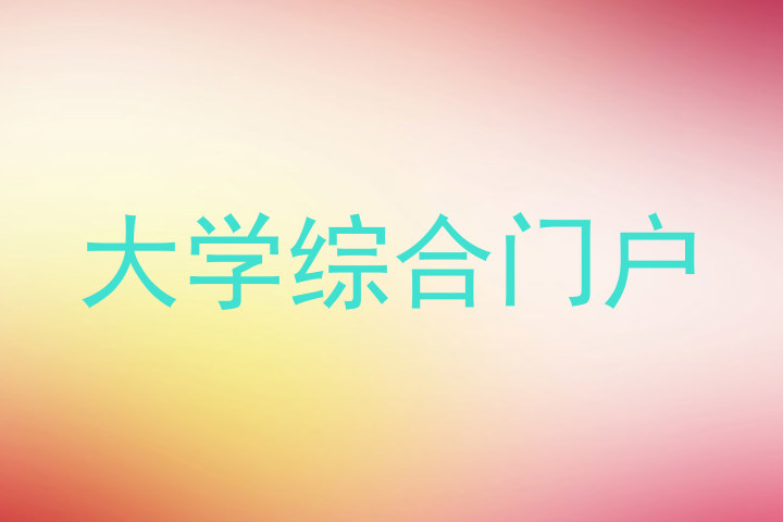 大学综合门户