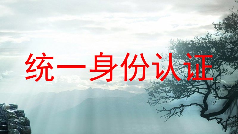 统一身份认证