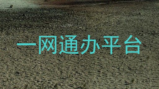 一网通办平台