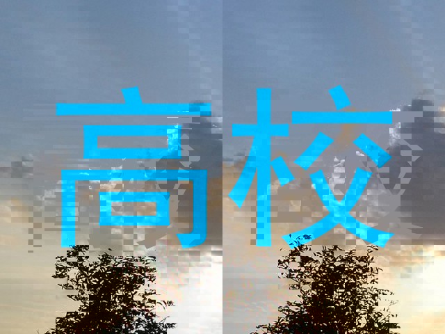 高校
