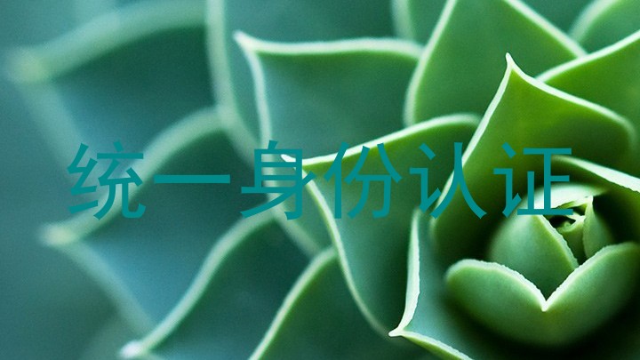 统一身份认证
