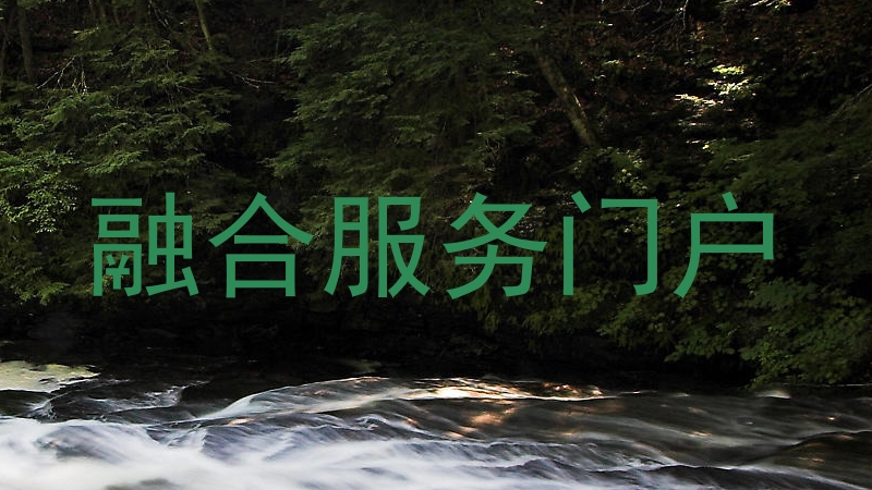 融合服务门户