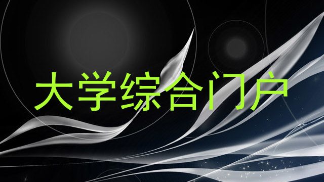 大学综合门户
