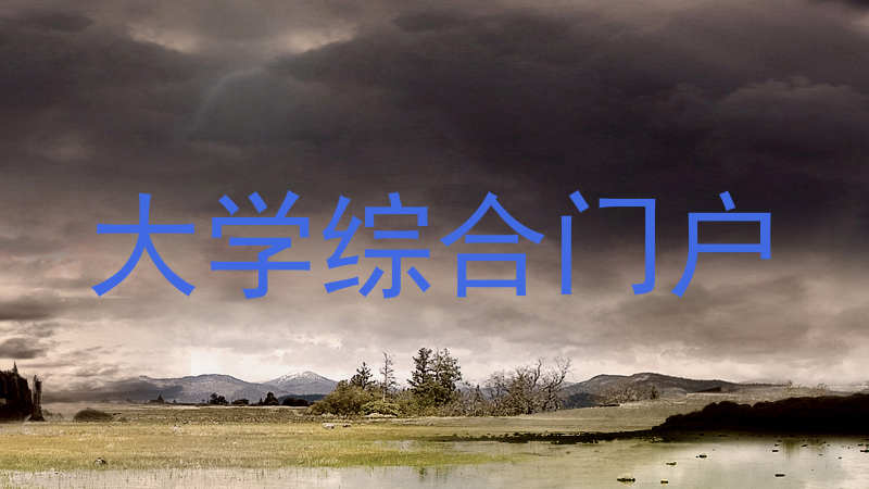 大学综合门户