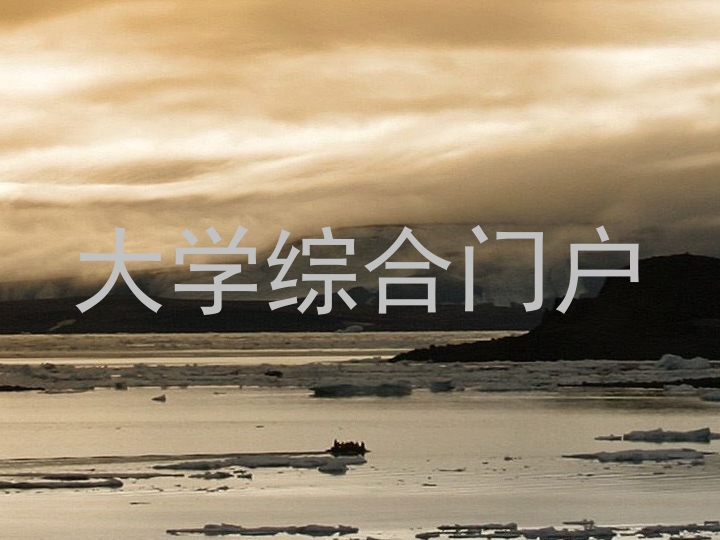 大学综合门户