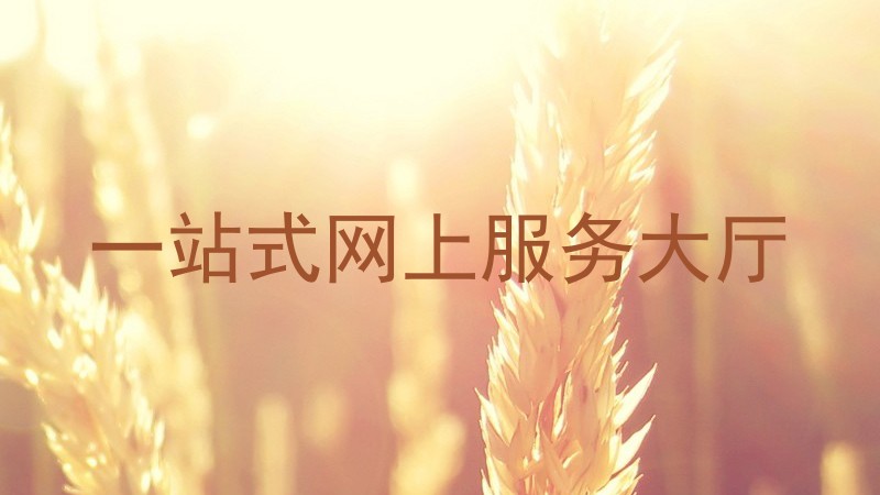 一站式网上服务大厅