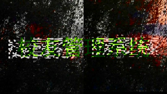 校友管理系统