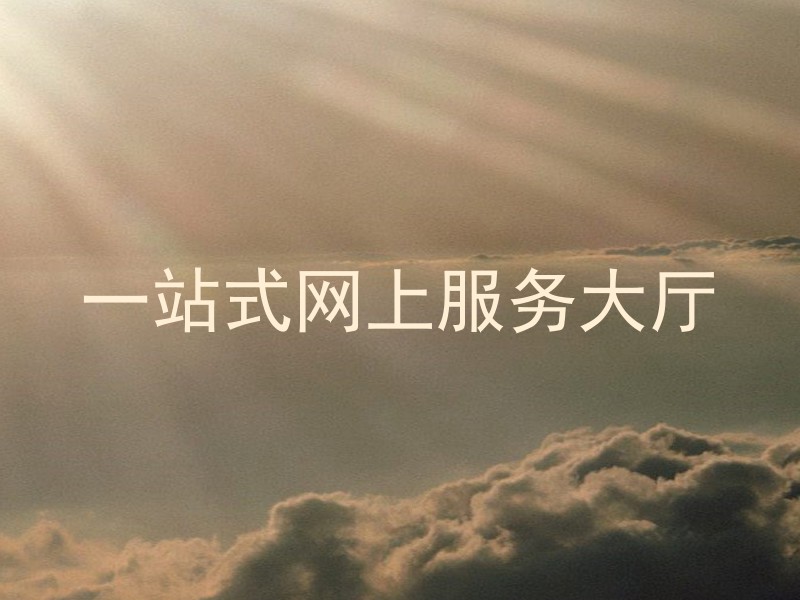 一站式网上服务大厅