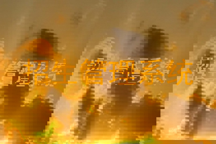 招生管理系统