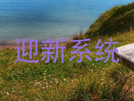 迎新系统