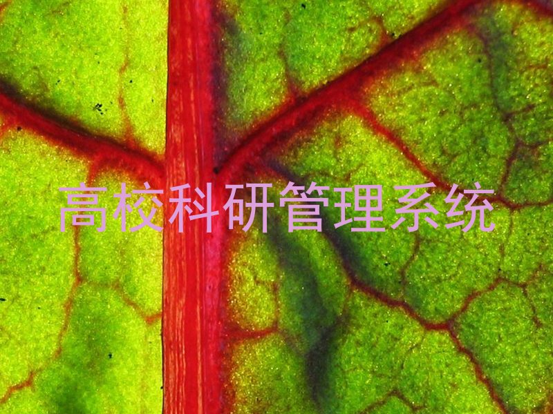 高校科研管理系统