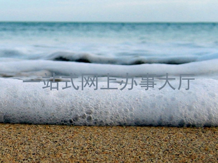 一站式网上办事大厅