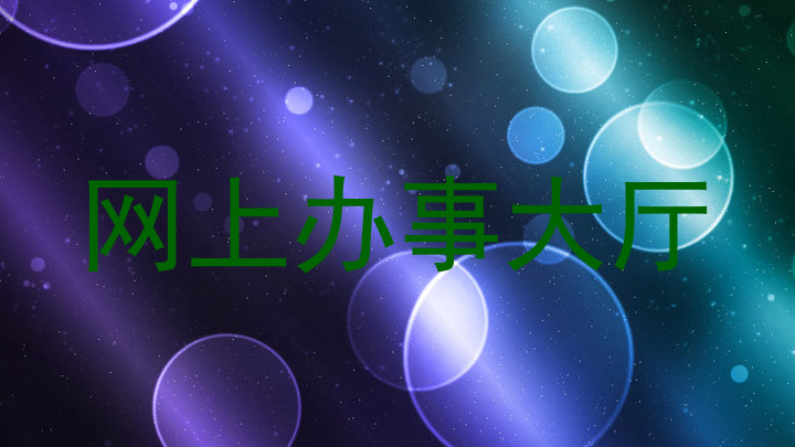 网上办事大厅