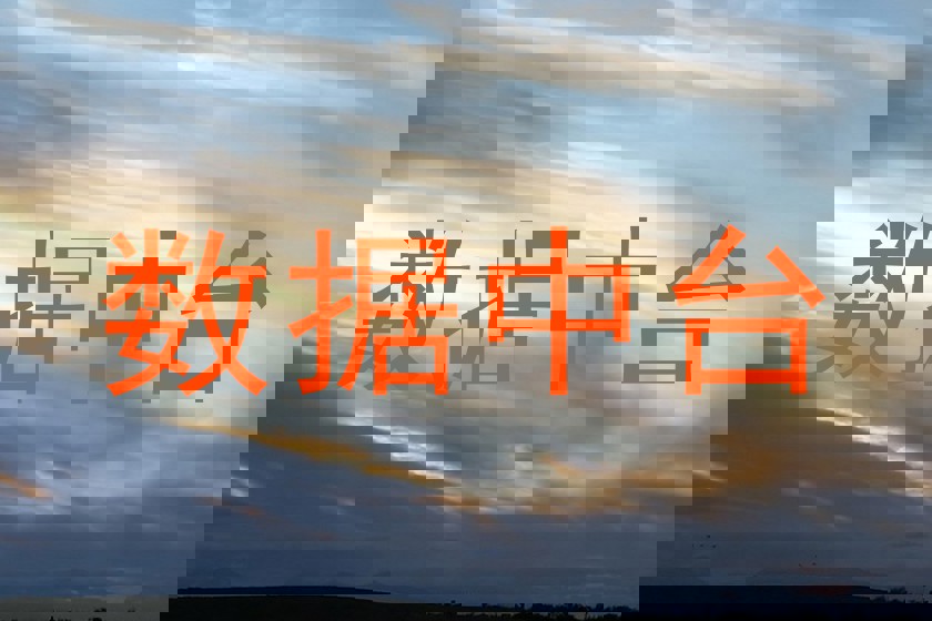 数据中台