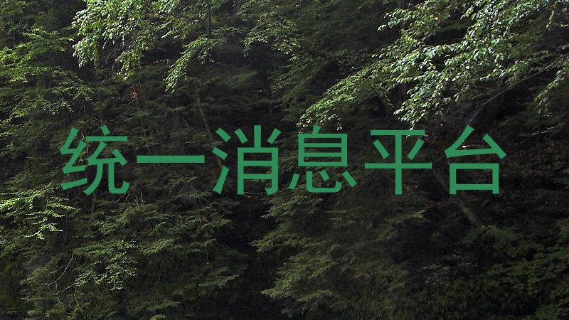 统一消息平台