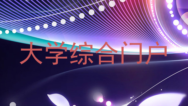大学综合门户