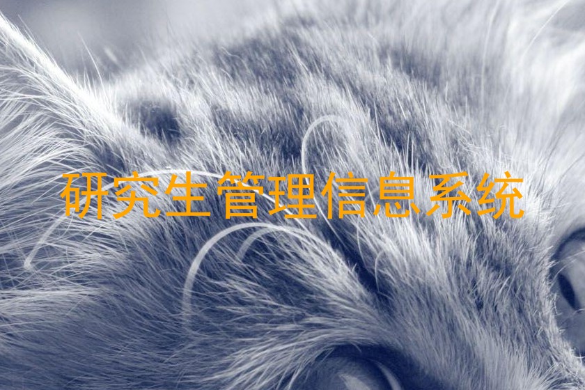 研究生管理信息系统