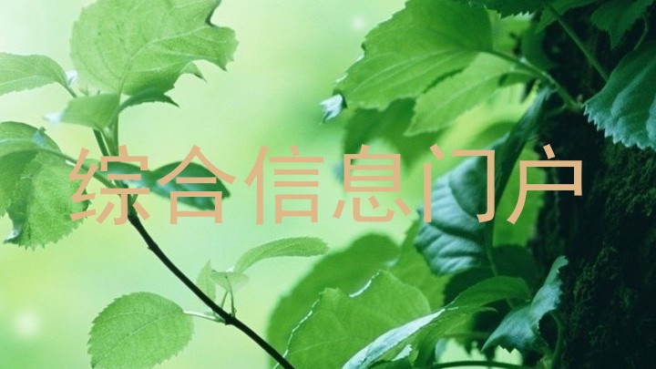 综合信息门户