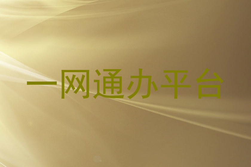 一网通办平台