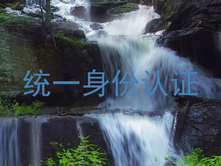 统一身份认证