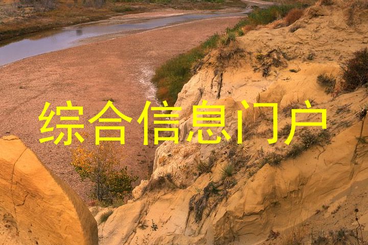 综合信息门户