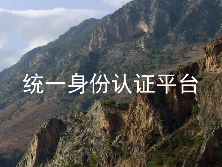 统一身份认证平台