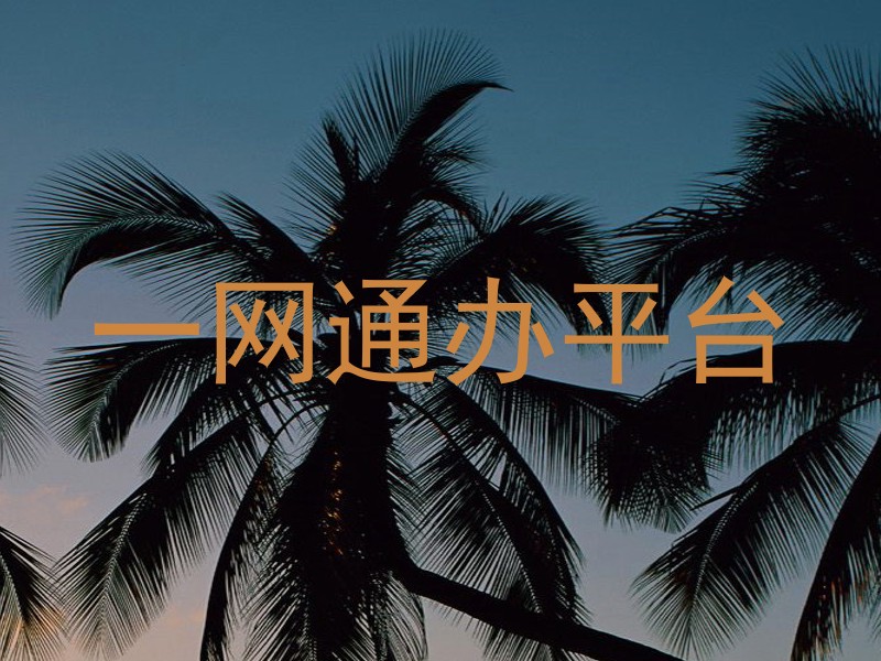 一网通办平台