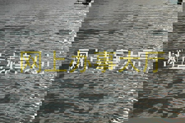 网上办事大厅