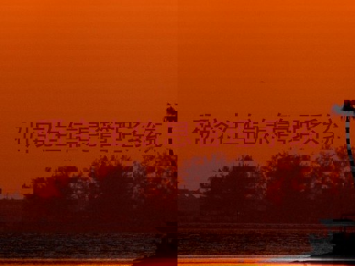 研究生信息管理系统