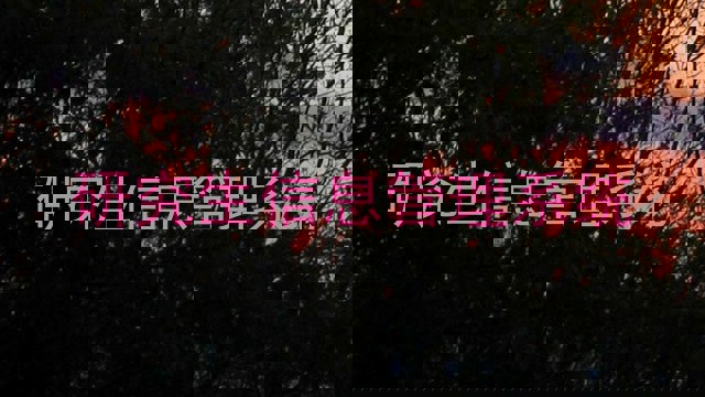 研究生信息管理系统
