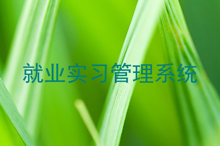 就业实习管理系统