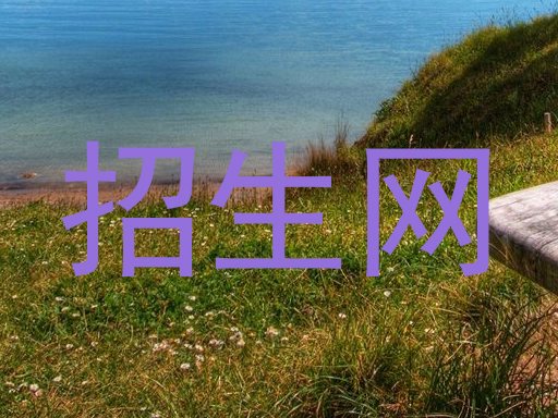 招生网