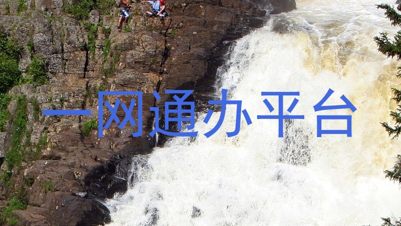 一网通办平台