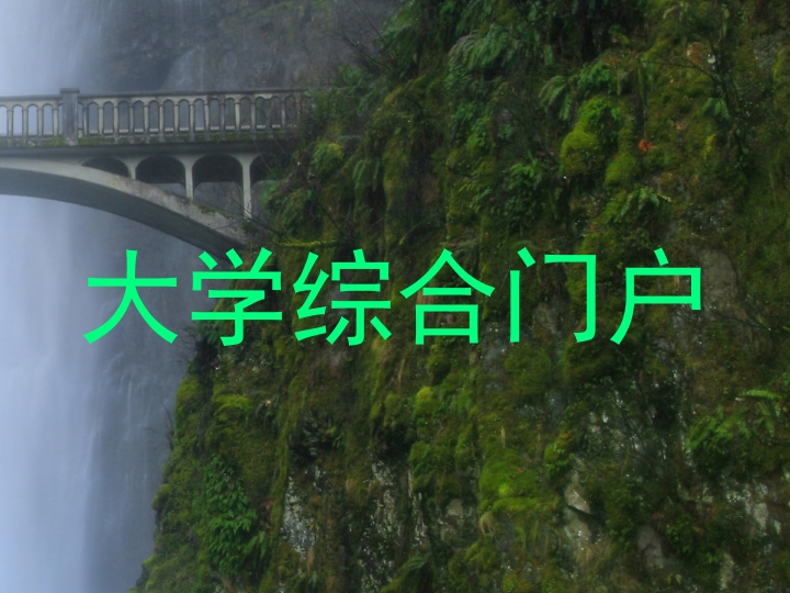 大学综合门户