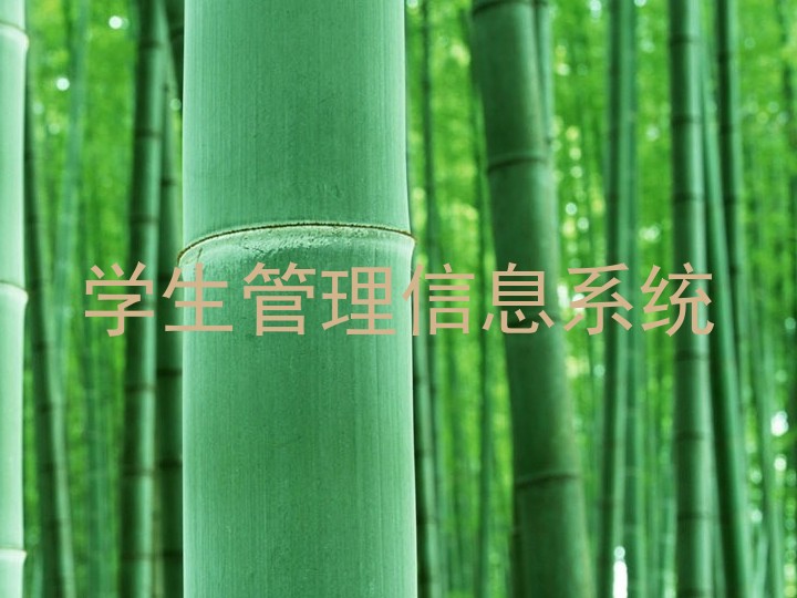 学生管理信息系统