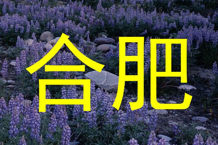合肥