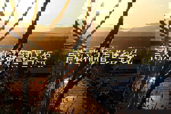 高校科研管理系统